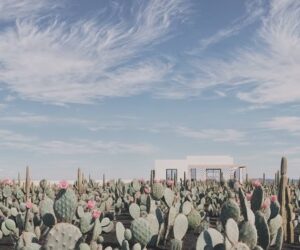 ARH.84 Arquitectos_Arrecife-Lanzarote (17)